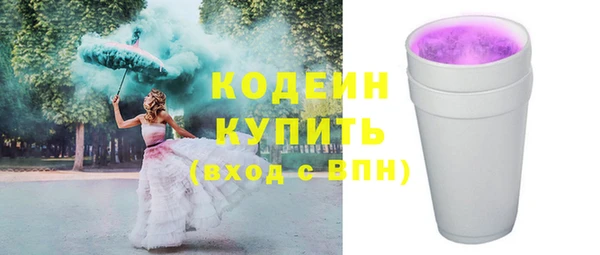шишки Киренск