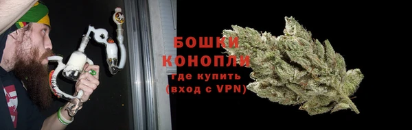 шишки Киренск