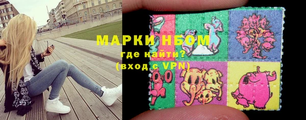шишки Киренск