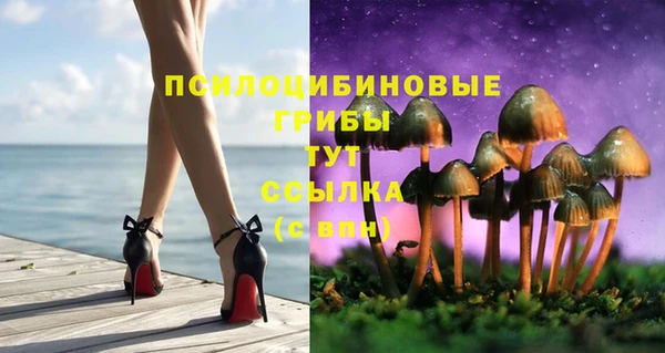 шишки Киренск