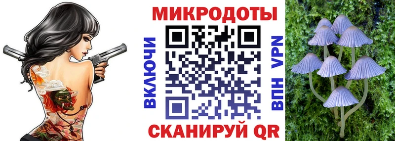 Купить закладки  Миньяр  Галлюциногенные грибы мухоморы 