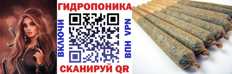 Канабис планчик Миньяр